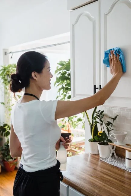 Cleaner using a vacuum in a stylish indoor setting, showcasing cleaning equipment and techniques.